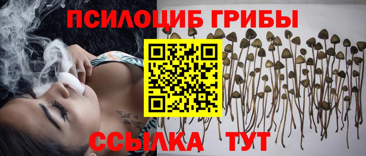 Галлюциногенные грибы Psilocybe  Вход с VPN  Новочеркасск  Псилоцибиновые грибы MAGIC MUSHROOMS 